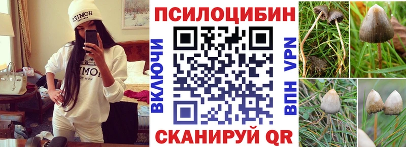 наркота  Байкальск  Галлюциногенные грибы мицелий 